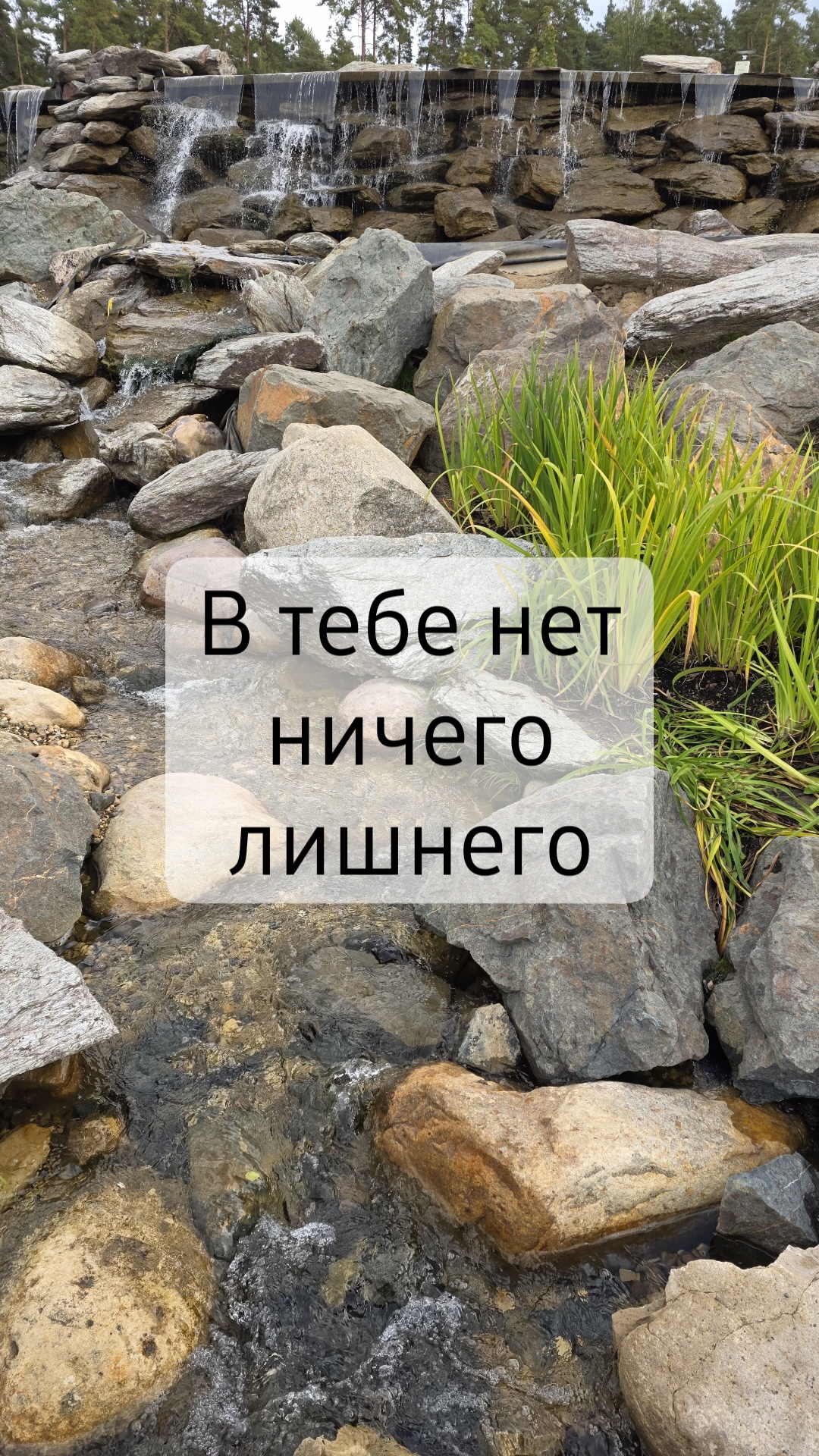 Иллюзорная реальность